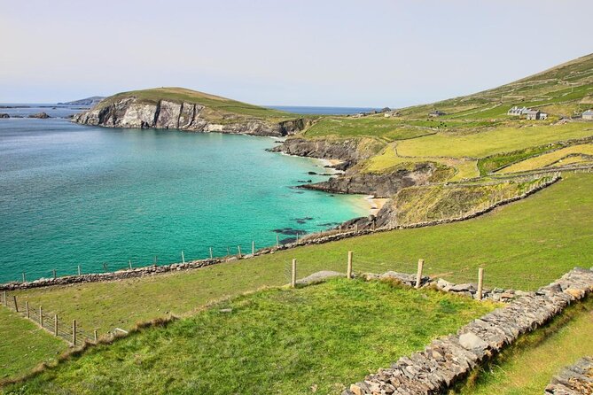 Dolphin & Whale Watching (4hrs) + Blasket Island Landing (3hrs) - Setting out from Ventry Pier at 10am