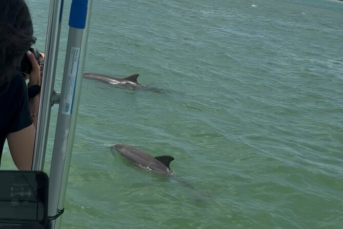 Dolphin Wildlife Cruise Fort Myers Beach - Who will enjoy this Fort Myers Beach cruise