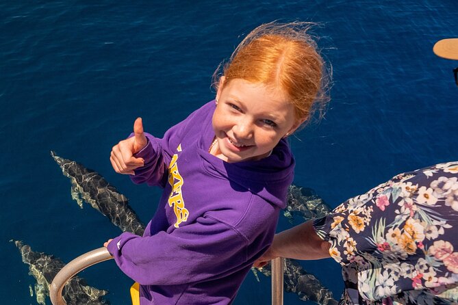 Dolphin & Wildlife Encounters - Mount Maunganui views before the open water