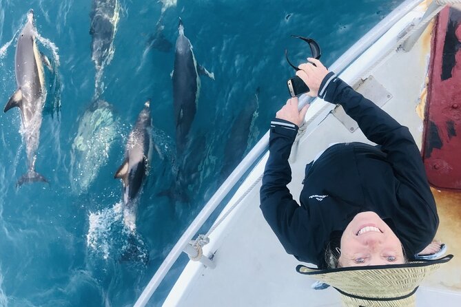 Dolphin & Wildlife Encounters - The 18 metre boat and its two viewing levels