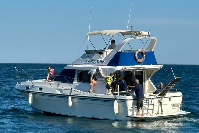 Dolphins and Sea Boat Adventure in Manilva Coast - The included drink and the return to port