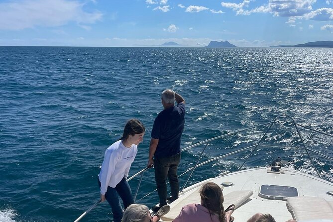 Dolphins and Sea Boat Adventure in Manilva Coast - The litter-picking detail matters