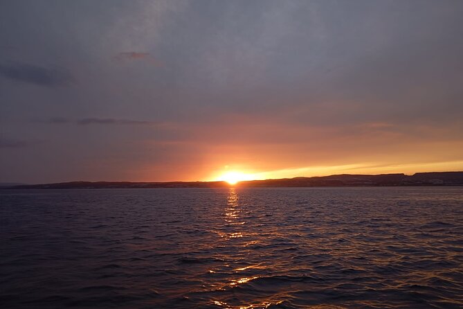 Dolphins and Sea Boat Adventure in Manilva Coast - Two hours along the Manilva Coast