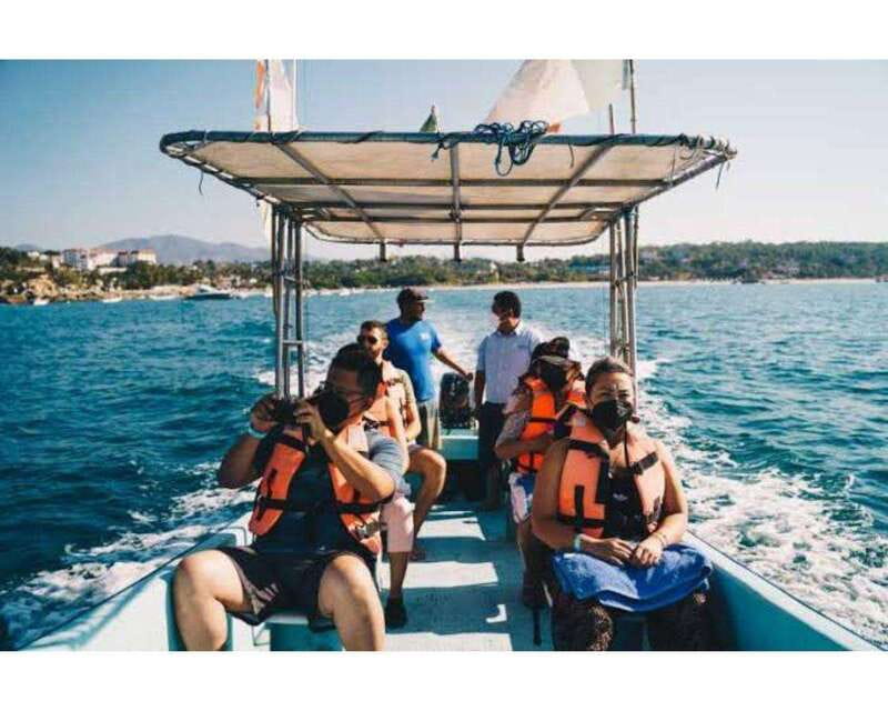 Dolphins and whales watching in Puerto Escondido. - An early morning run from Puerto Escondido