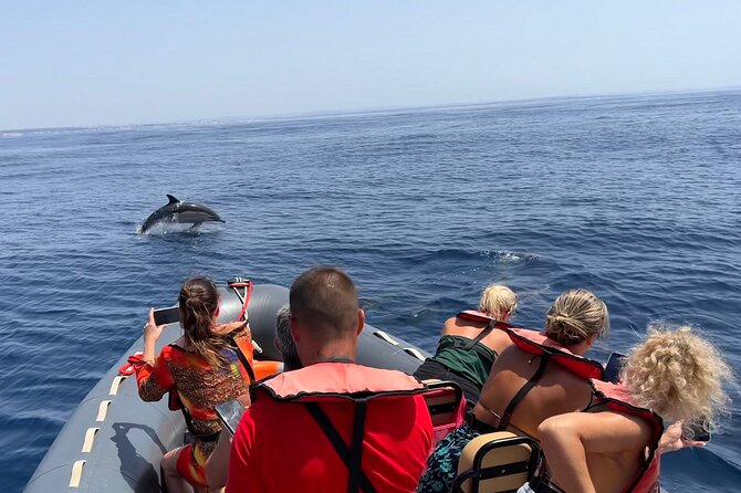 Dolphins & Benagil Caves with Biologist guide - What the biologist guide adds