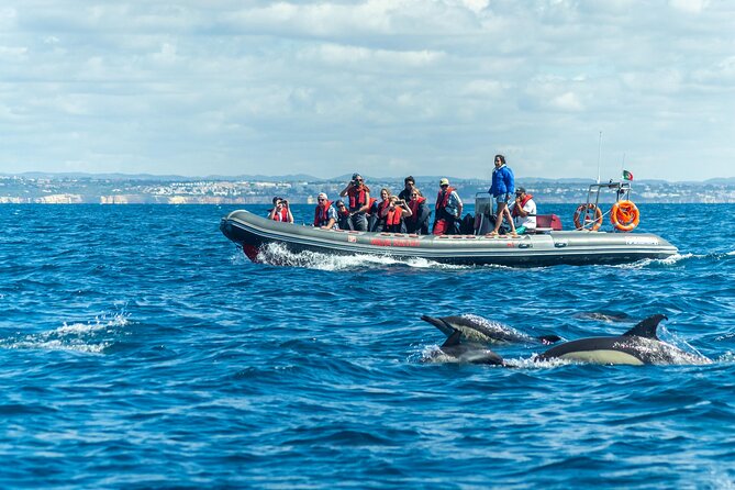 Dolphins & Caves on Rib Boat - From Albufeira Marina to the Open Atlantic