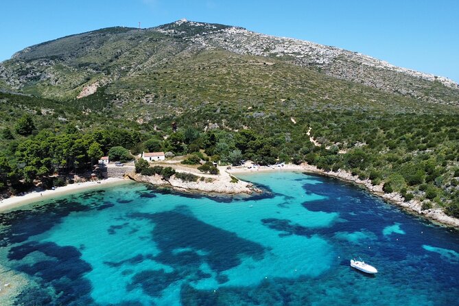 Dolphins Circus tour in Small group - Sardinia by boat, from Cugnana to the open coast