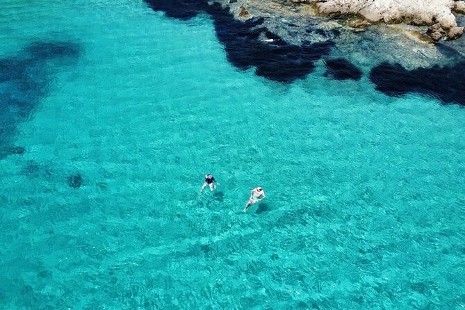 Dolphins Circus tour in Small group - Snorkeling in Sardinia’s clear sea