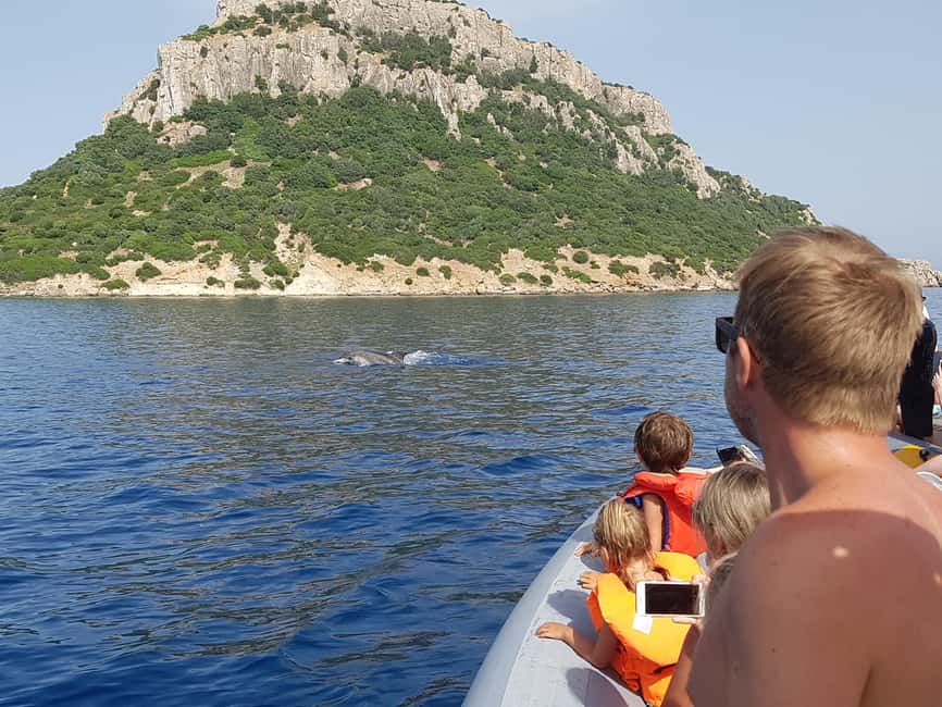 Dolphins: Dolphin Watching Tour and Capo Figari by Raft - Isola di Figarolo and the first 30 minutes