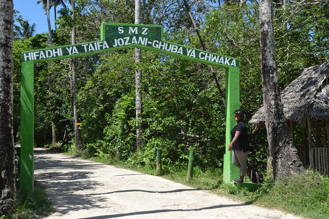 Dolphins +Jozani forest +Kuza cave +Paje beach + Rock restaurant - A full Zanzibar day, from dolphins to seafood