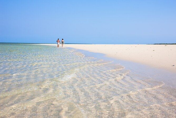 Dolphins +Jozani forest +Kuza cave +Paje beach + Rock restaurant - Private transport and the people behind the day