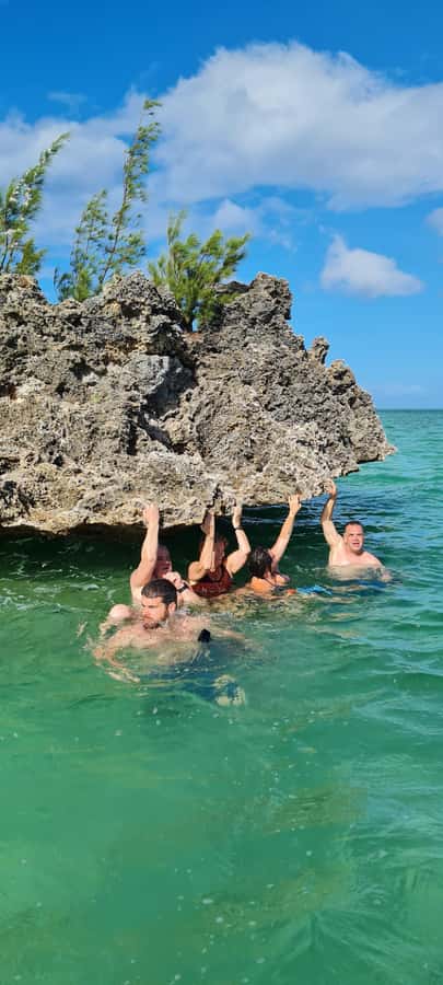 Dolphins: Private, Snorkel, CrystalRock, ileoBenitiers,lunch - At a glance