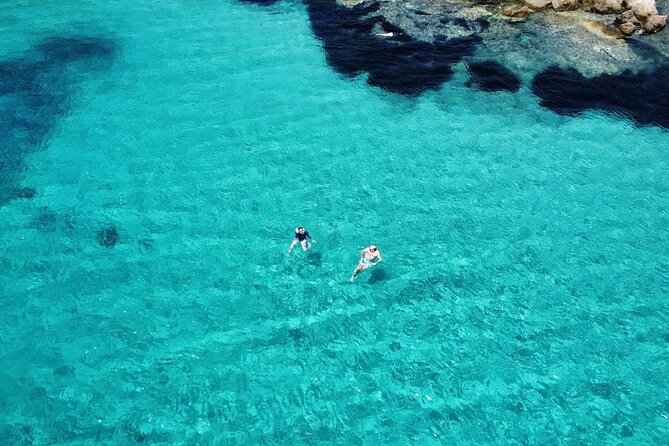 Dolphins Rib boat (up 6 people) Private - What happens around Golfo Aranci