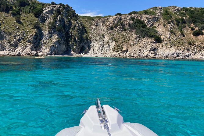 Dolphins Rib boat (up 6 people) Private - Snacks, drinks, and a friendly skipper
