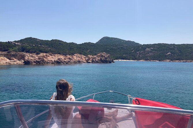 Dolphins Rib boat (up 6 people) Private - Is $417 a fair price for the boat?