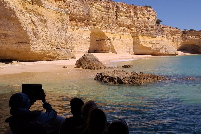 Dolphins Search and Benagil Caves from Albufeira - Timing, parking, and the best day for your schedule