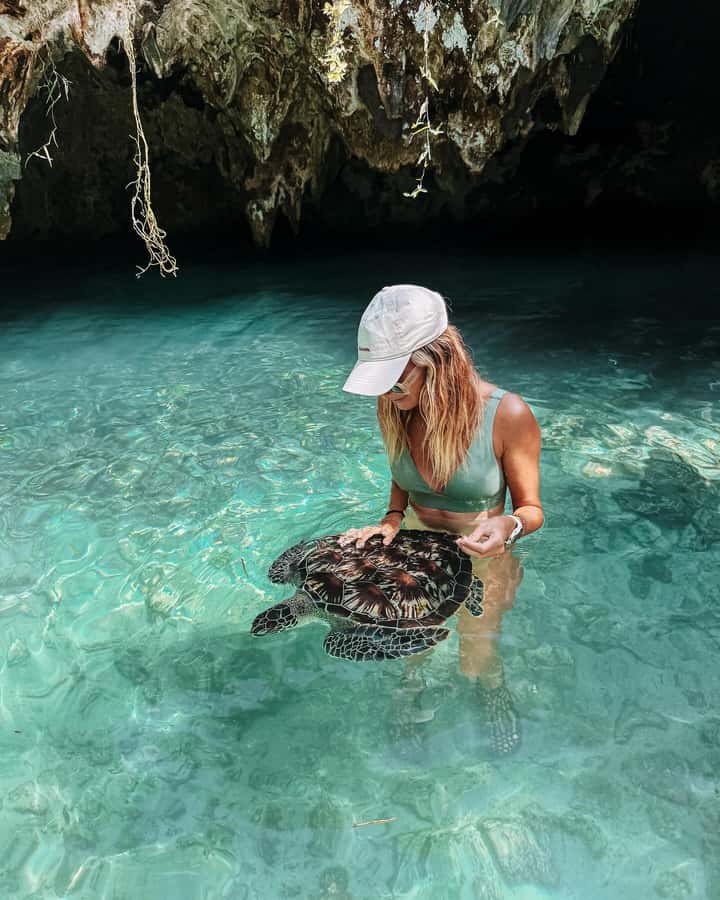 Dolphins tour + mnemba island snorkeling + salaam turles - Key points to know before booking