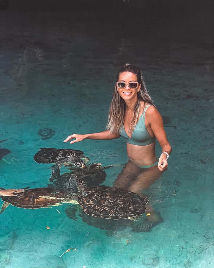 Dolphins tour + mnemba island snorkeling + salaam turles - Why Mnemba Atoll is the star of the day