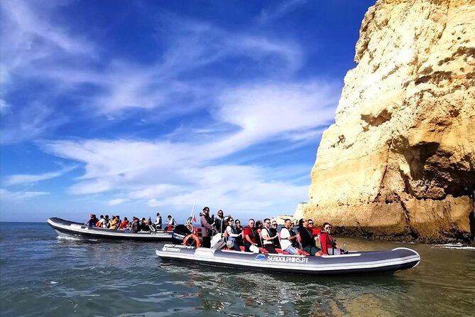 Dolphins Watching - A fast ride back to the marina