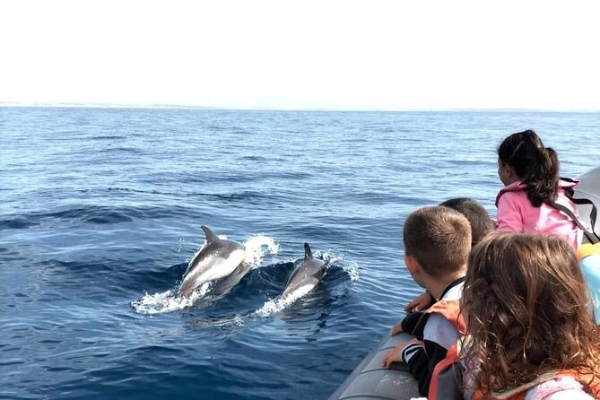 Dolphins Watching - Who will enjoy this Portimão boat trip?
