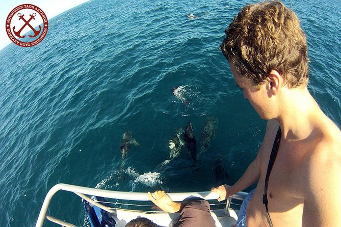 Dolphins Watching in the National Park Brijuni from Pula - Leaving Pula at 5:30 pm for the Brijuni coast