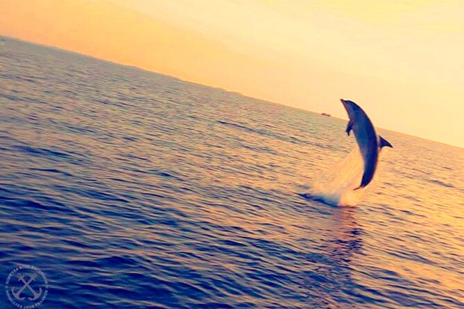 Dolphins Watching in the National Park Brijuni from Pula - Who will enjoy this Pula boat trip most