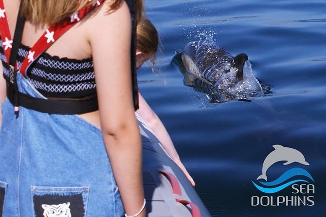 Dolphins Watching - What the small group changes