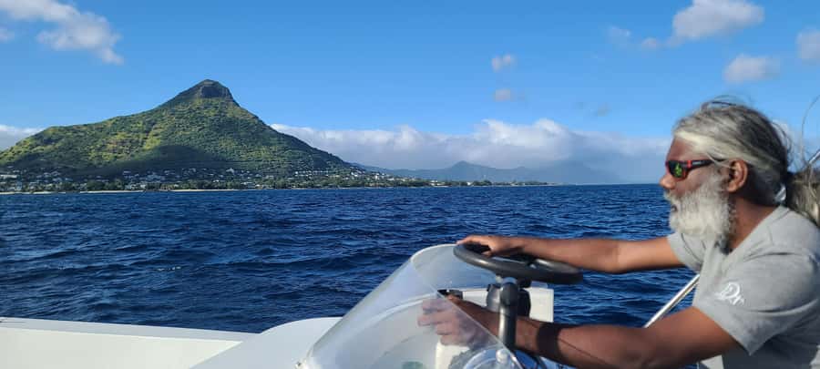 Dolphins & Whales, Private Tour Snorkeling - Captain Ali, Bebe, and the human side of the trip