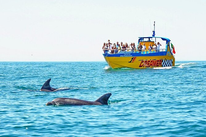 Dreamer Cave and Dolphins Boat Tour Ticket Albufeira - Key points to know before booking