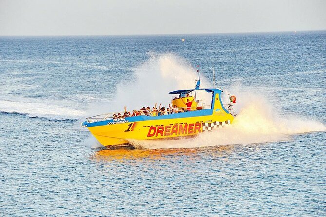 Dreamer Cave and Dolphins Boat Tour Ticket Albufeira - Who will enjoy this boat trip most