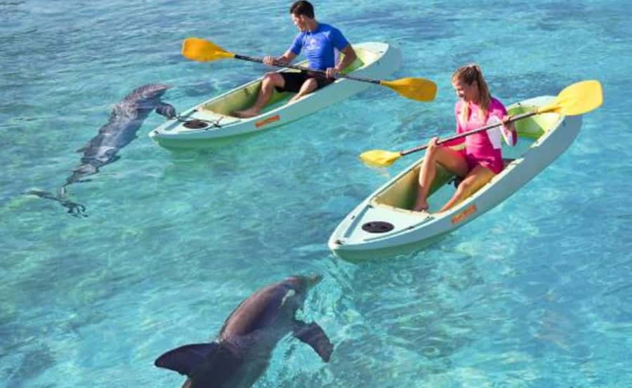 Dubai: Atlantis Dolphin Kayak Trip & Aquaventure Waterpark - Key points to know before booking