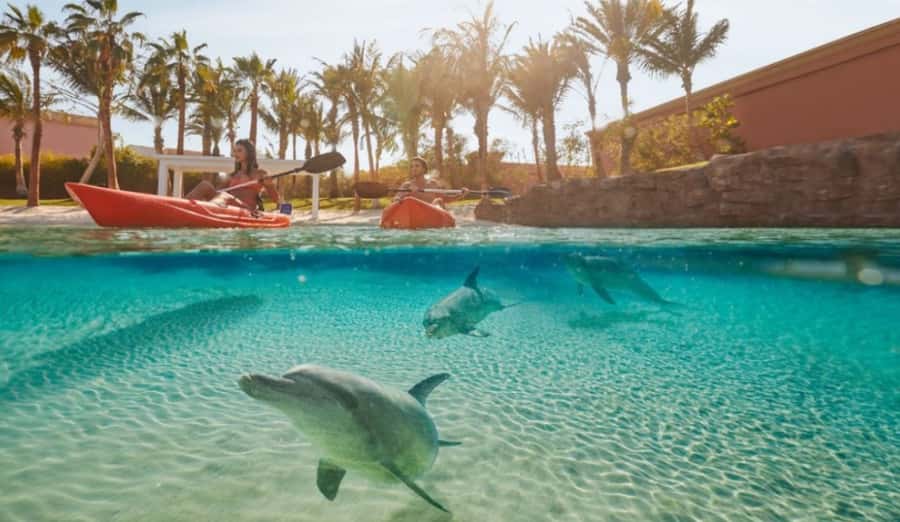 Dubai: Atlantis Dolphin Kayak Trip & Aquaventure Waterpark - Kayaking through Dolphin Bay Lagoon