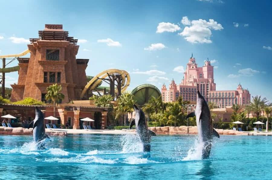 Dubai: Atlantis Dolphin Kayak Trip & Aquaventure Waterpark - From the lagoon to Aquaventure Waterpark