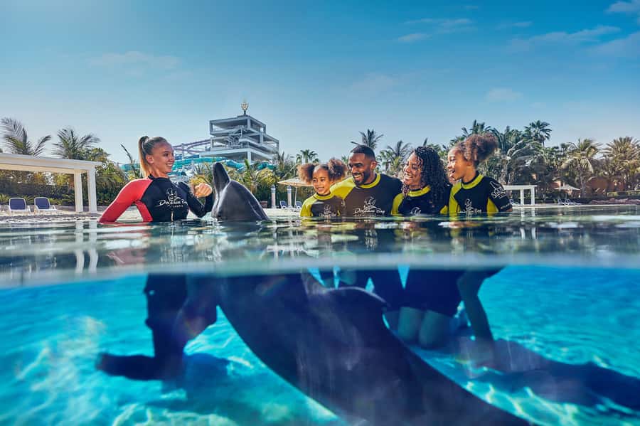 Dubai: Dolphin Encounter & Aquaventure Waterpark Ticket - Meeting the dolphins at Dolphin Bay