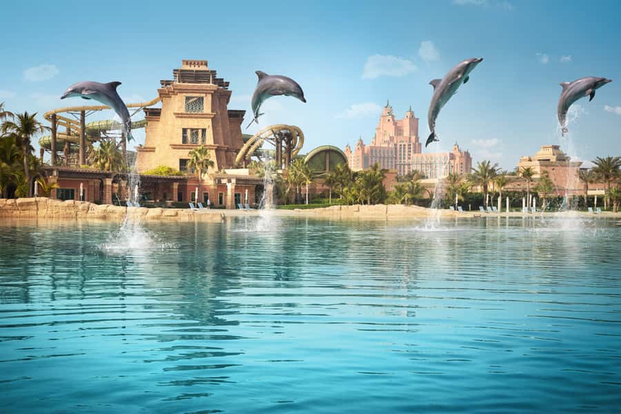 Dubai: Dolphin Encounter & Aquaventure Waterpark Ticket - Aquaventure after the dolphin session