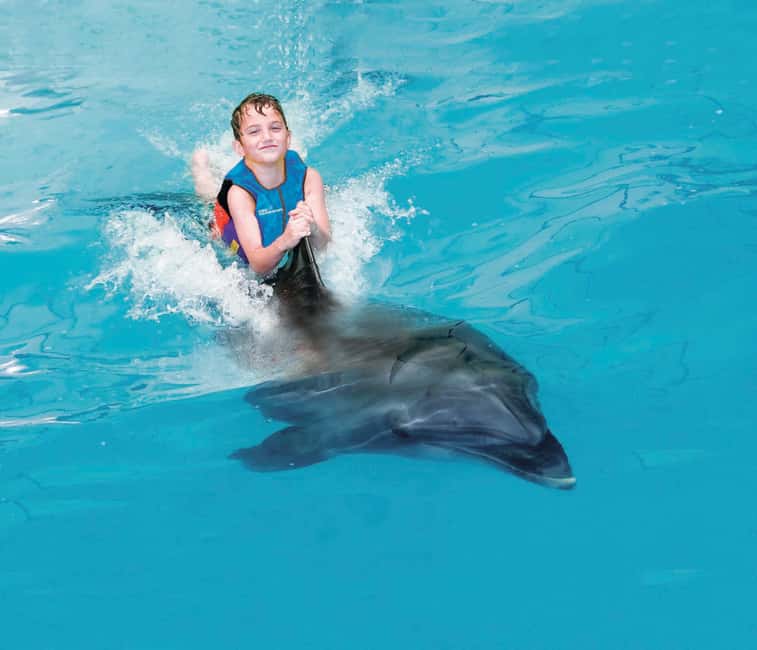 Dubai: Dubai Dolphinarium Dolphin, Seal & Bird Show Tickets - Is $25 good value in Dubai?