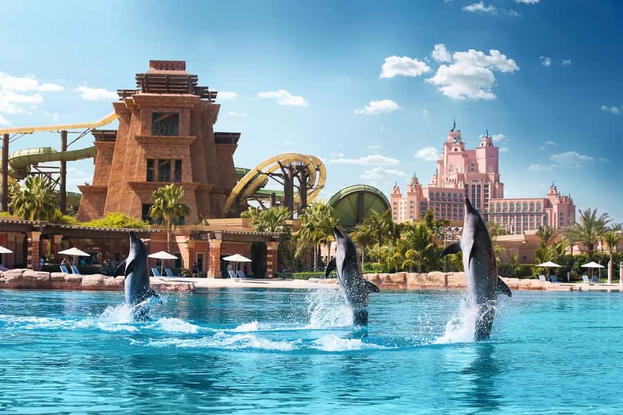 Dubai: Swim with Dolphins at Atlantis Waterpark - Key points at a glance