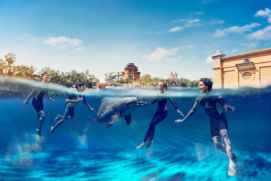 Dubai: Swim with Dolphins at Atlantis Waterpark - Meeting a dolphin at Dolphin Bay