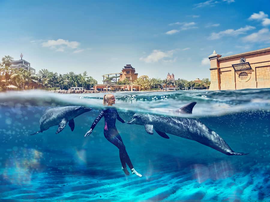 Dubai: Swim with Dolphins at Atlantis Waterpark - Check-in, wetsuit, and the 15-minute briefing