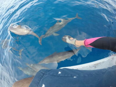 Dumaguete: Dolphin Watching & Manjuyod Sandbar Private Tour