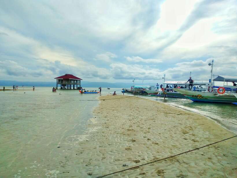 Dumaguete: Dolphin Watching & Manjuyod Sandbar Private Tour - Manjuyod Sandbar at low tide