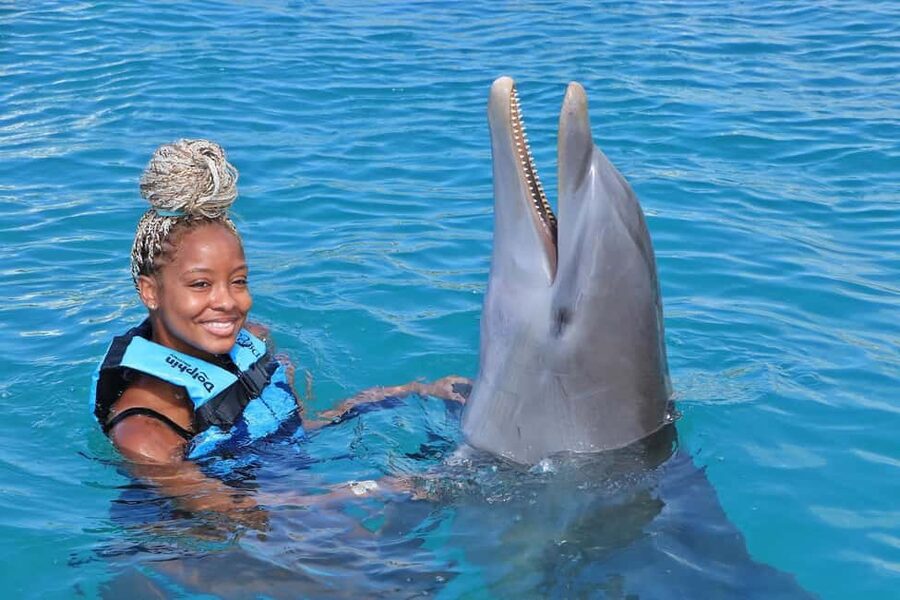 Dunn’s River Falls and Dolphin Cove Swim Adventure - From rushing water to Dolphin Cove