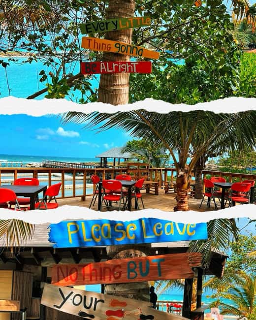 Dunn’s River Falls and Dolphin Cove Swim Adventure - Is $367 per person a fair price?