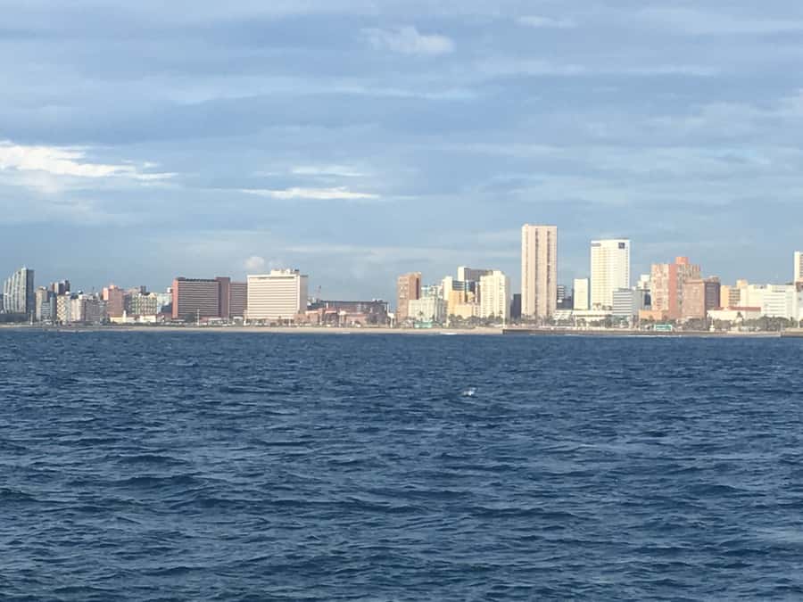Durban: Durban: Whale and Dolphin Watching Boat Tour - Booking details that matter