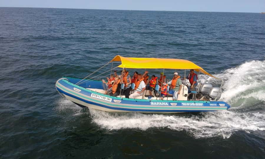 Durban: Durban: Whale and Dolphin Watching Boat Tour - The winter whale migration