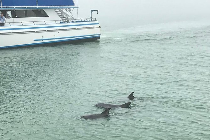 Eco and Dolphin Watch Tour of South Padre Island - Seating, Shade, and Comfort