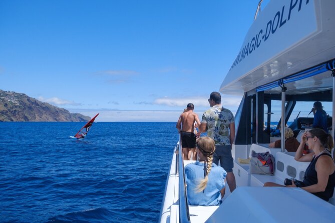 Eco-Friendly Catamaran Dolphin and Whale Watching - Setting out from Funchal’s marina