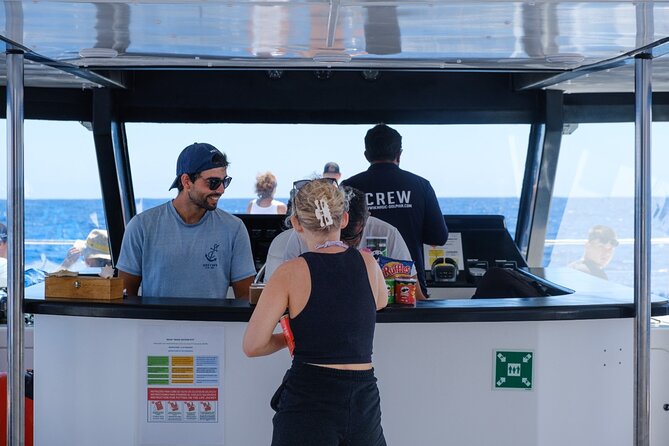 Eco-Friendly Catamaran Dolphin and Whale Watching - Who will enjoy this Madeira boat trip?