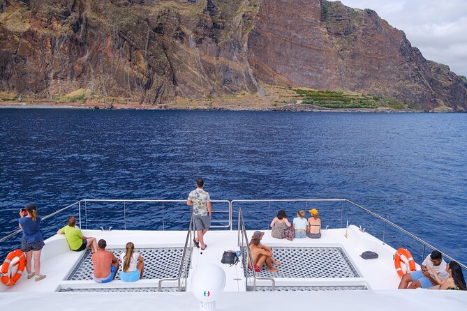 Eco-Friendly Catamaran Dolphin and Whale Watching - The guide and live commentary