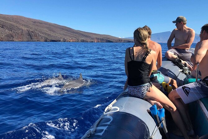 Eco-Raft Tour: Maui-Lanai Snorkel / Dolphin Watch (Semi-Private) - Who should book this experience?